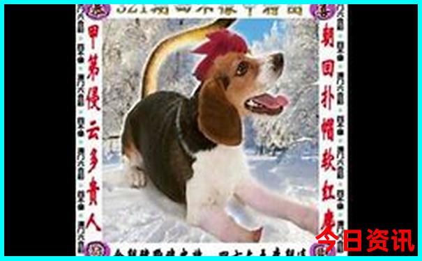 情侣去哪玩比较有趣